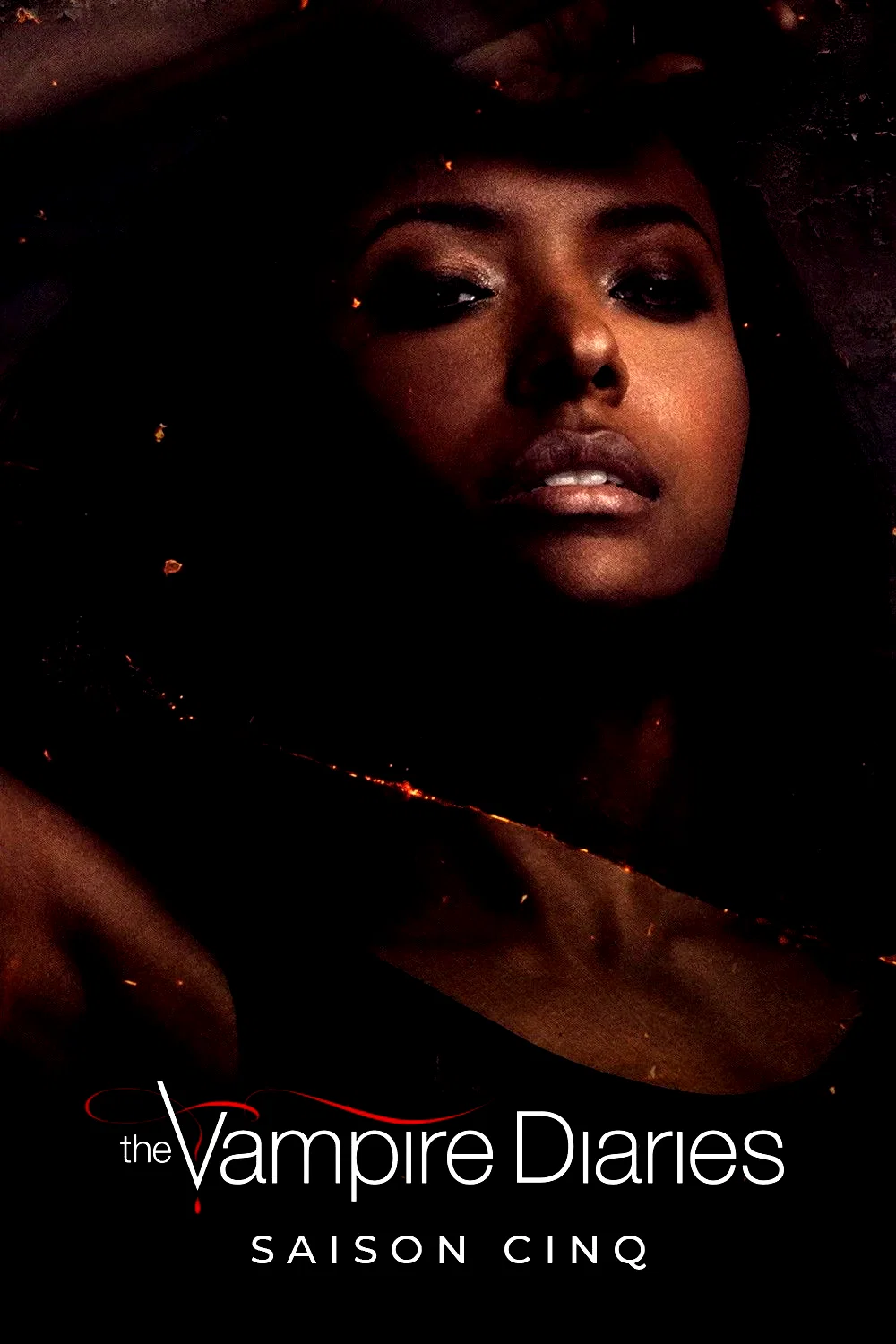 Photo de la saison 5 : Vampire Diaries