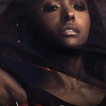 Photo de la saison 6 : Vampire Diaries