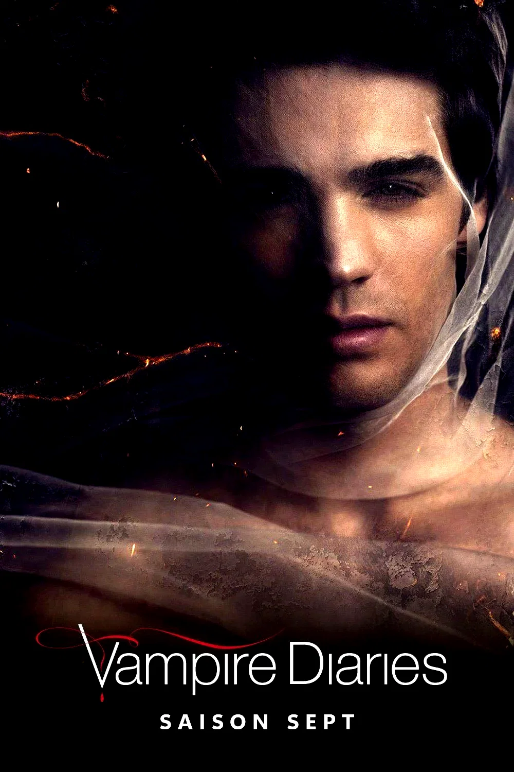 Photo de la saison 7 : Vampire Diaries
