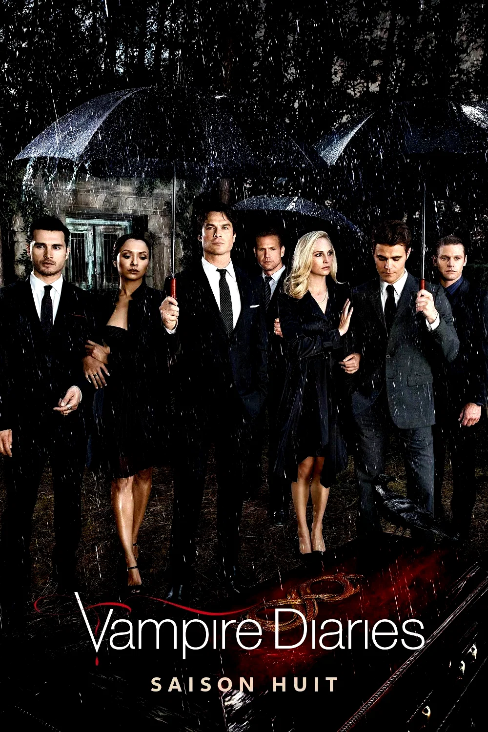 Photo de la saison 8 : Vampire Diaries