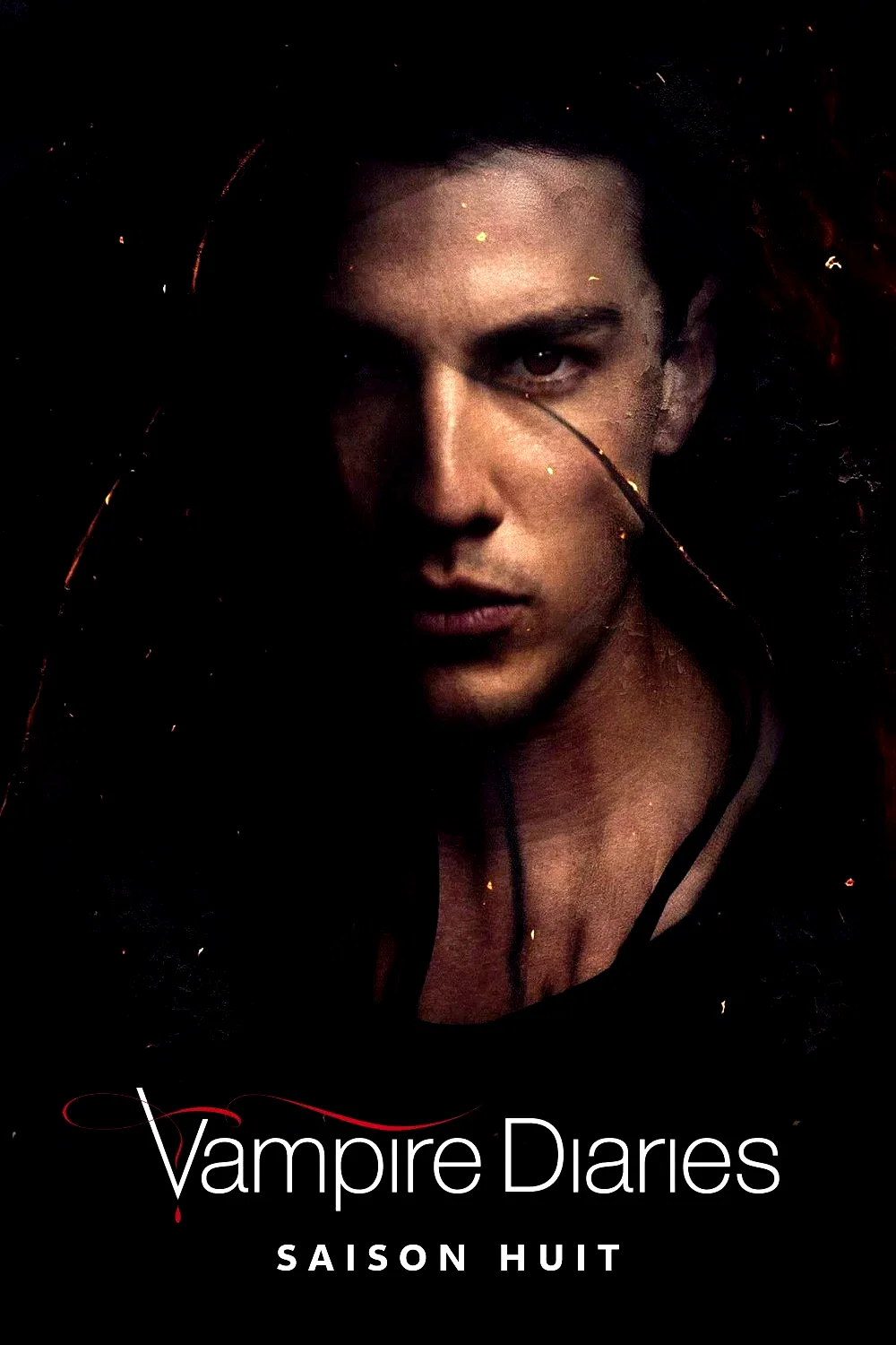 Photo de la saison 8 : Vampire Diaries