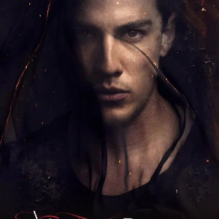 Photo de la saison 8 : Vampire Diaries