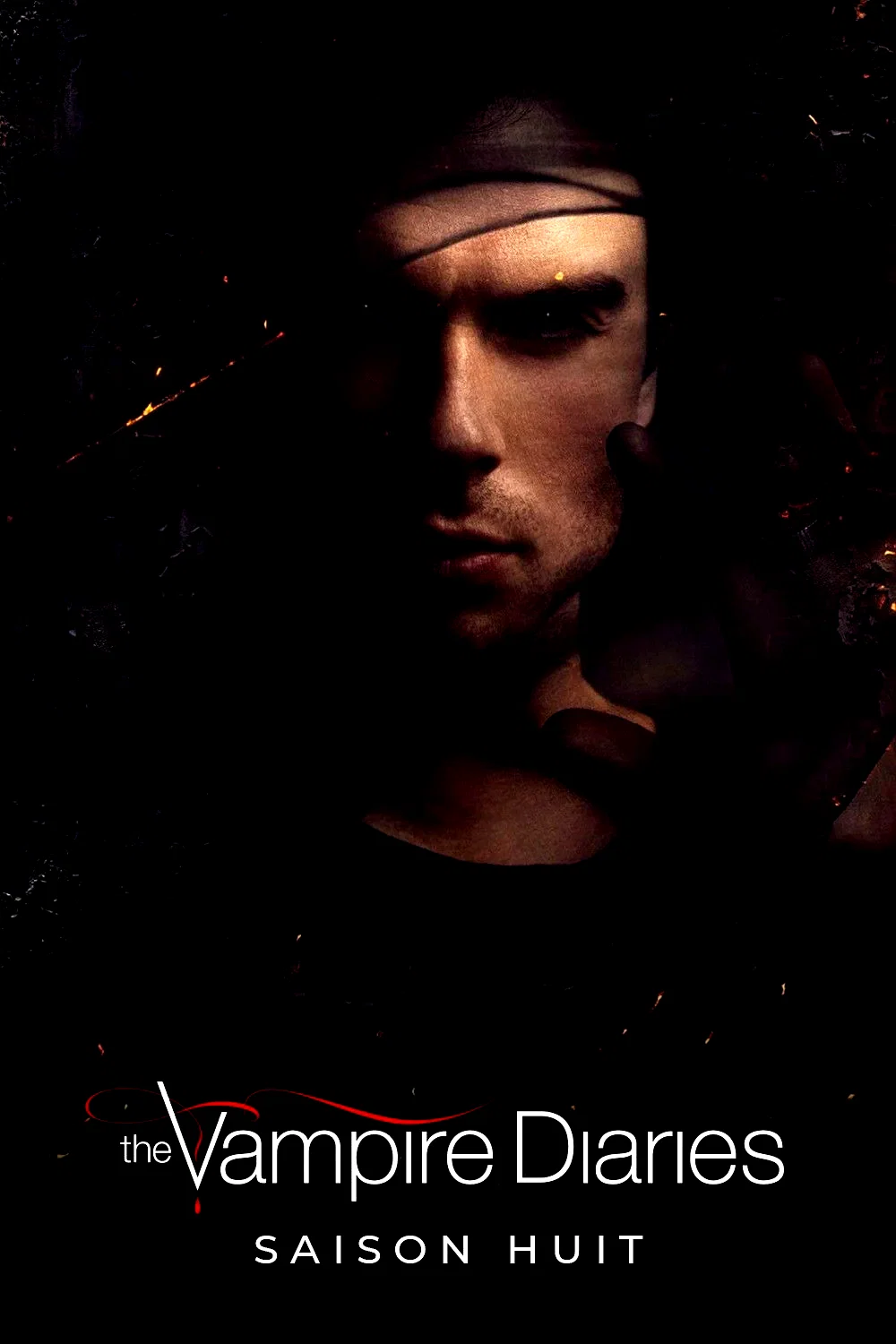 Photo de la saison 8 : Vampire Diaries