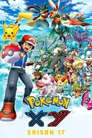 Affiche de XY