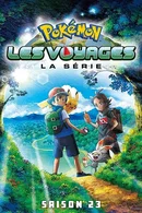 Affiche de Les Voyages