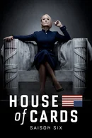 Affiche de Saison 6