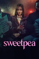 Affiche de Saison 1