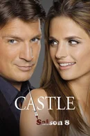 Affiche de Saison 8