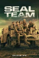 Affiche de Saison 6
