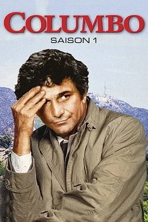 Affiche de Saison 1
