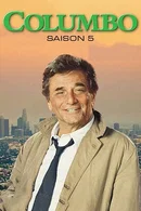 Affiche de Saison 5