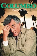Affiche de Saison 9