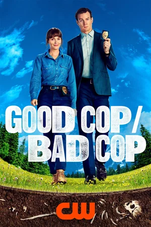 Affiche de Saison 1
