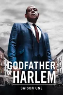 Affiche de Saison 1