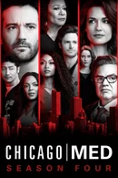 Affiche de Saison 4