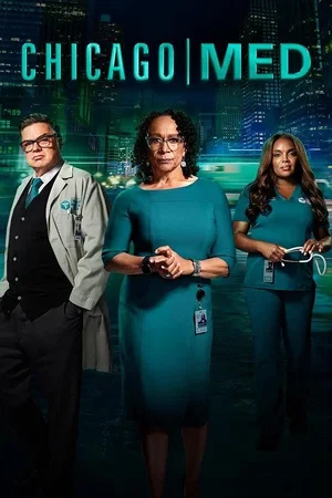 Affiche de Saison 9