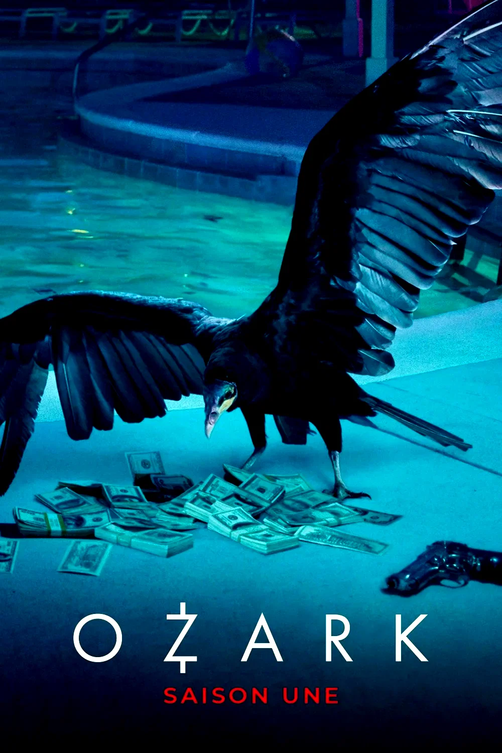 Photo de la saison 1 : Ozark