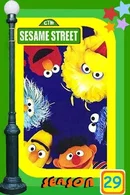 Affiche de Saison 29