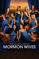 Affiche de Saison 4