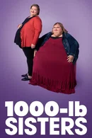 Affiche de Saison 2