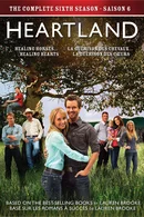 Affiche de Saison 6