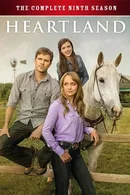Affiche de Saison 9