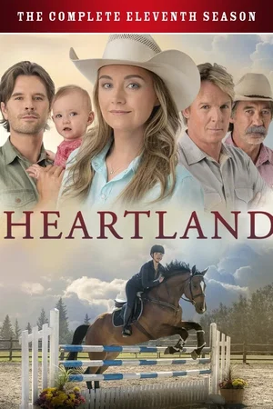 Affiche de Saison 11