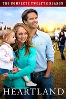 Affiche de Saison 12