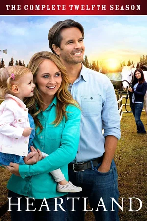 Affiche de Saison 12