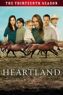 Affiche de Saison 13