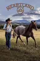 Affiche de Saison 18