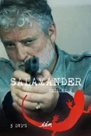 Affiche de Saison 2