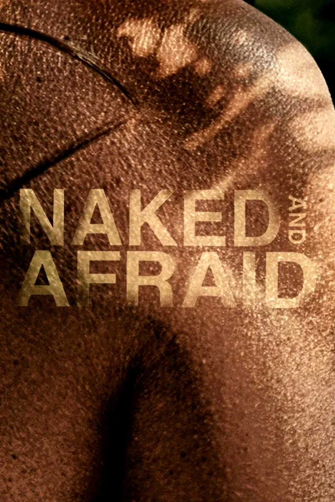 Photo de la saison 6 : Naked and Afraid
