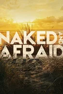 Affiche de Saison 12