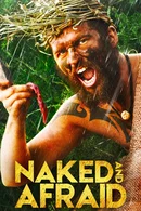 Affiche de Saison 13