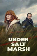 Affiche de Saison 1
