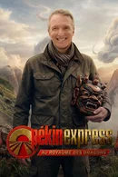 Affiche de Saison 22 : Au Royaume des Dragons