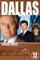 Affiche de Saison 12