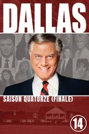 Affiche de Saison 14