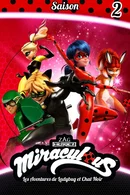 Affiche de Saison 2