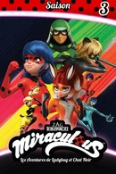 Affiche de Saison 3