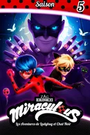 Affiche de Saison 5