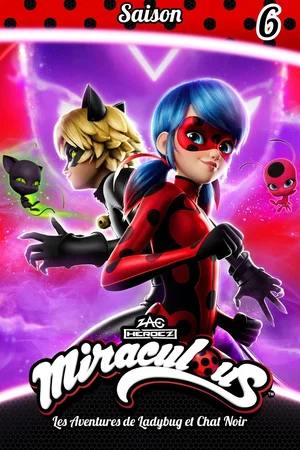 Affiche de Saison 6