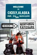 Affiche de Saison 1