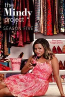 Affiche de Saison 5