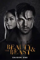 Affiche de Saison 1