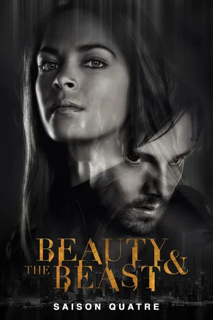 Affiche de Saison 4
