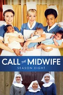 Affiche de Saison 8