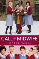 Affiche de Saison 12