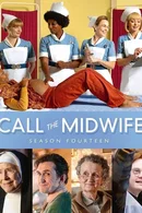 Affiche de Saison 14